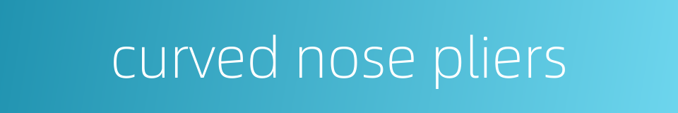 curved nose pliers的同义词