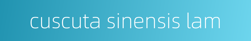 cuscuta sinensis lam的同义词