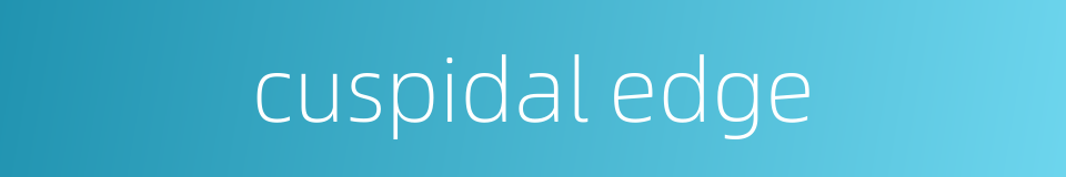 cuspidal edge的同义词
