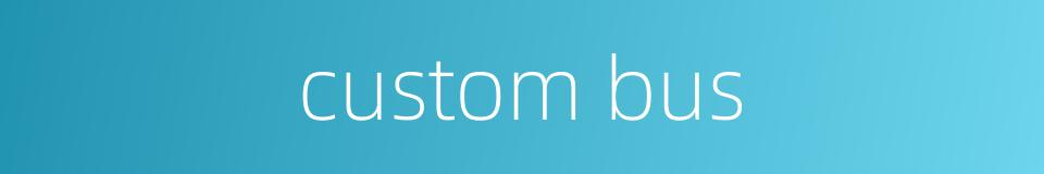custom bus的同义词