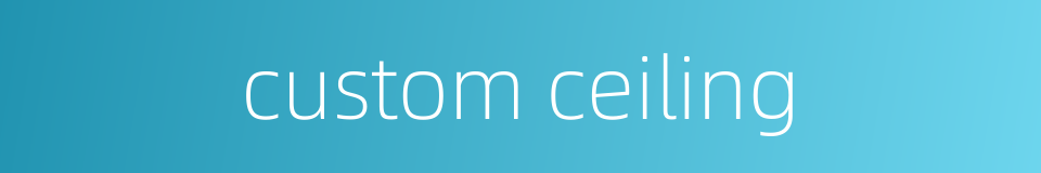 custom ceiling的同义词