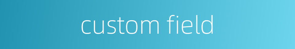 custom field的同义词