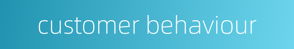 customer behaviour的同义词