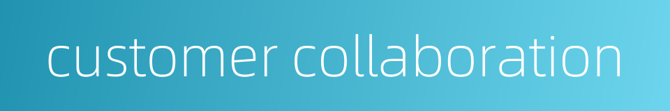 customer collaboration的同义词