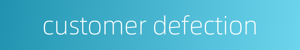 customer defection的同义词