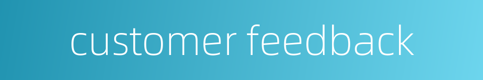 customer feedback的同义词