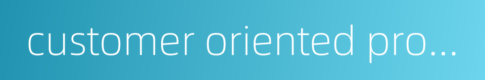 customer oriented processes的同义词