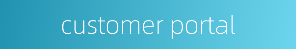 customer portal的同义词