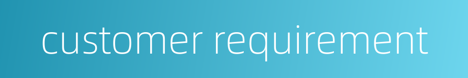 customer requirement的同义词