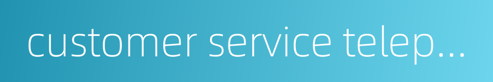customer service telephone number的同义词