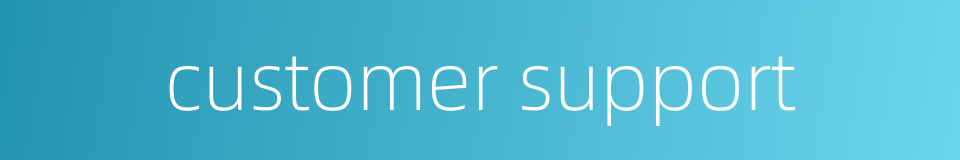 customer support的同义词