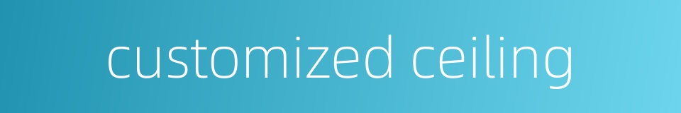 customized ceiling的同义词