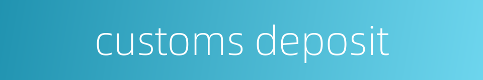 customs deposit的同义词