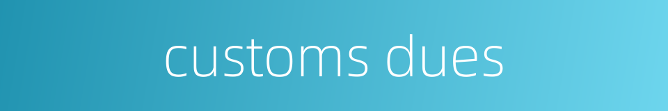 customs dues的同义词