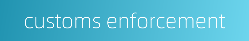 customs enforcement的同义词