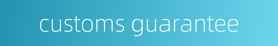 customs guarantee的同义词