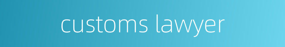 customs lawyer的同义词