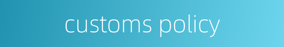 customs policy的同义词