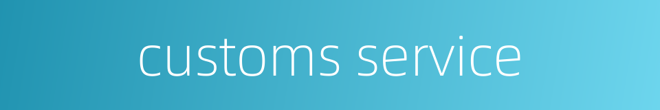 customs service的同义词