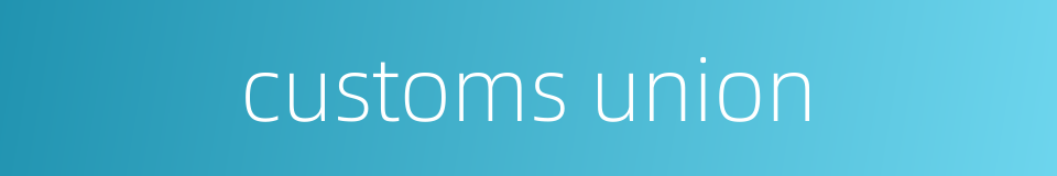 customs union的同义词
