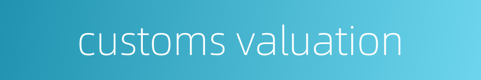 customs valuation的同义词
