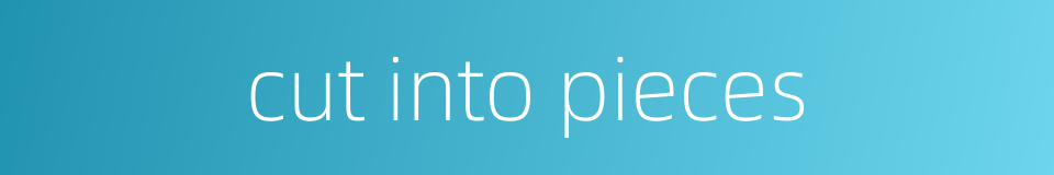 cut into pieces的同义词