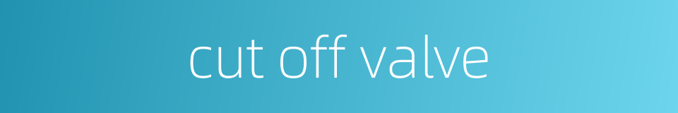 cut off valve的同义词