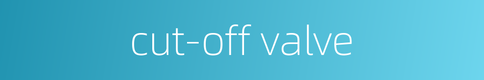 cut-off valve的同义词