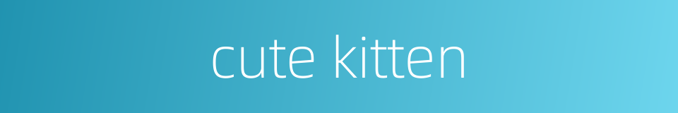 cute kitten的同义词