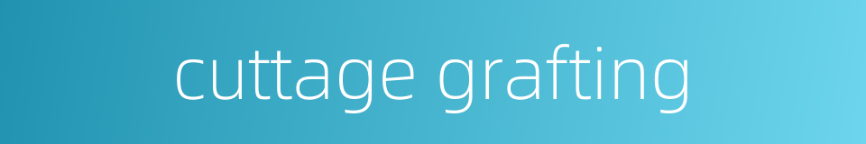 cuttage grafting的同义词