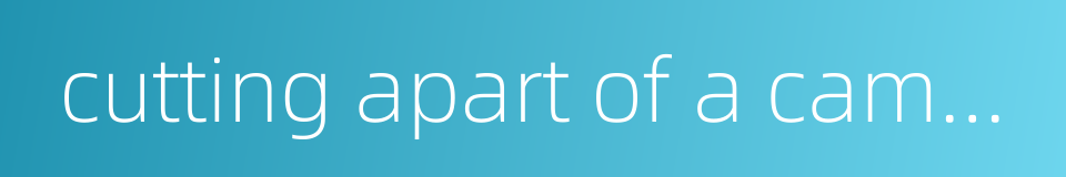 cutting apart of a campaign nature的同义词