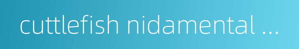 cuttlefish nidamental gland的同义词
