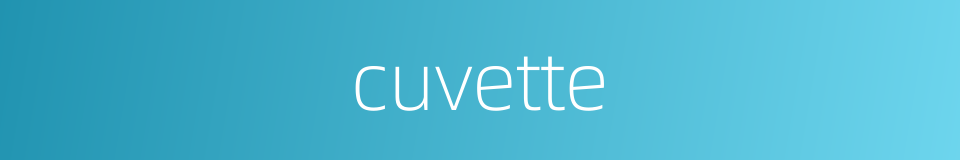 cuvette的同义词