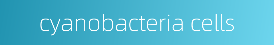 cyanobacteria cells的同义词