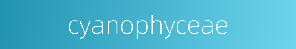 cyanophyceae的同义词