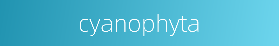 cyanophyta的同义词