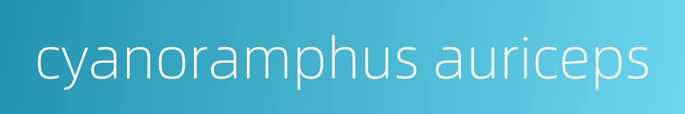cyanoramphus auriceps的同义词