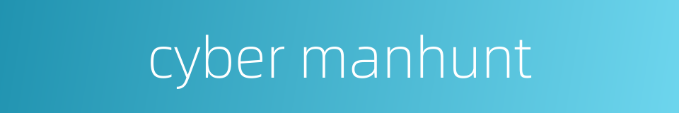 cyber manhunt的同义词