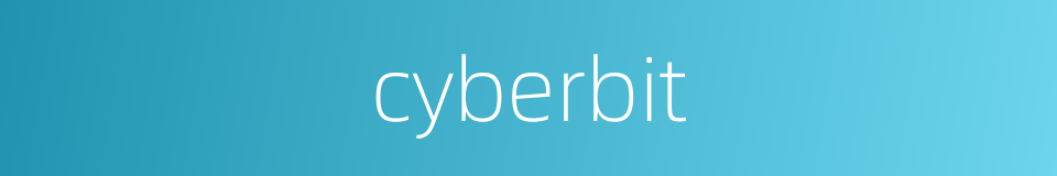 cyberbit的同义词