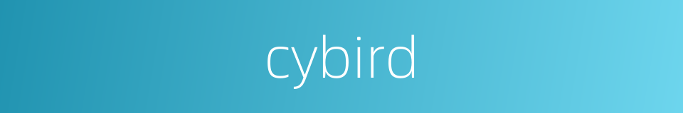 cybird的同义词