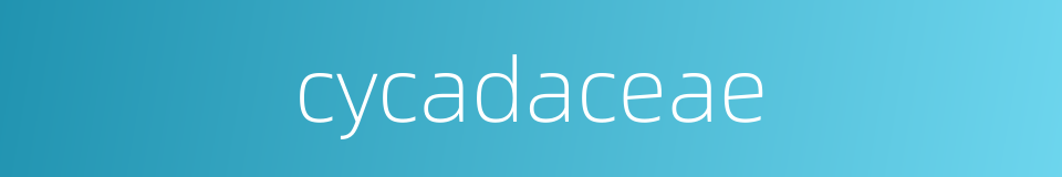 cycadaceae的同义词