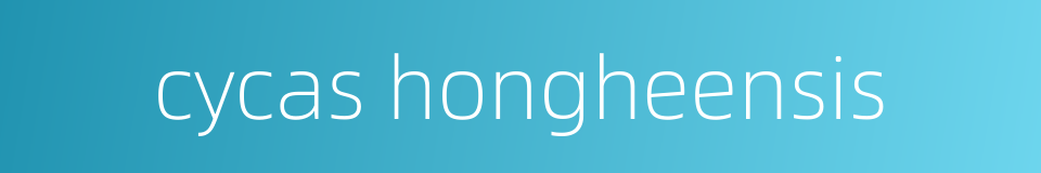 cycas hongheensis的同义词