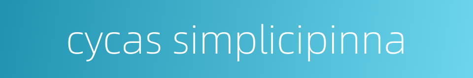 cycas simplicipinna的同义词