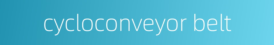cycloconveyor belt的同义词