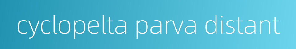 cyclopelta parva distant的同义词