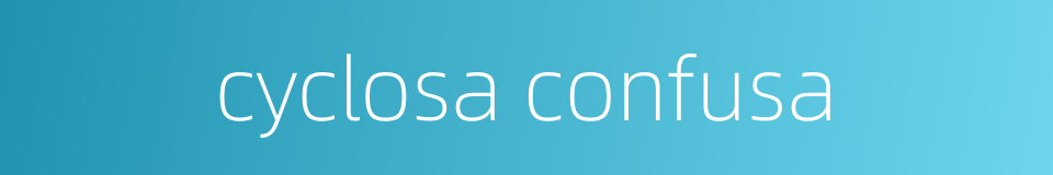 cyclosa confusa的同义词