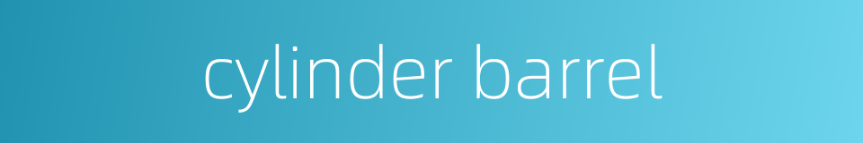 cylinder barrel的同义词