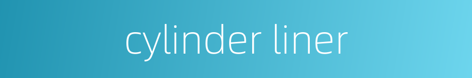 cylinder liner的同义词