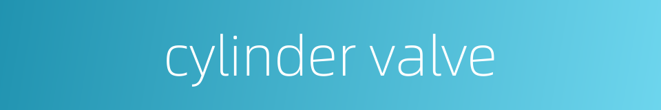 cylinder valve的同义词