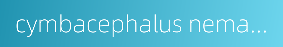 cymbacephalus nematophthalmus的同义词